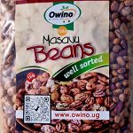 Masavu beans well sorted 1kg